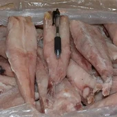 Ffiled Maelgi wedi'i Rewi