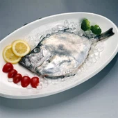 Pysgod Lleuad wedi Rhewi